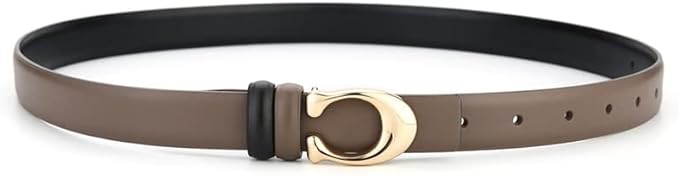 Brown belt with gold buckle on a white background